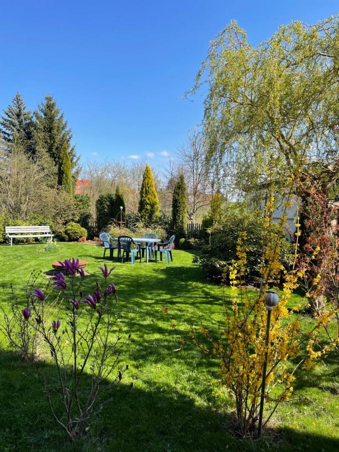 Gemuetliches Appartement - 20 Min Bis Dresden Leppersdorf Exteriör bild